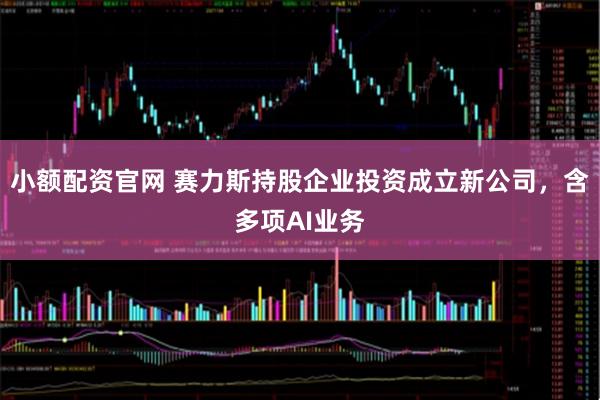 小额配资官网 赛力斯持股企业投资成立新公司，含多项AI业务